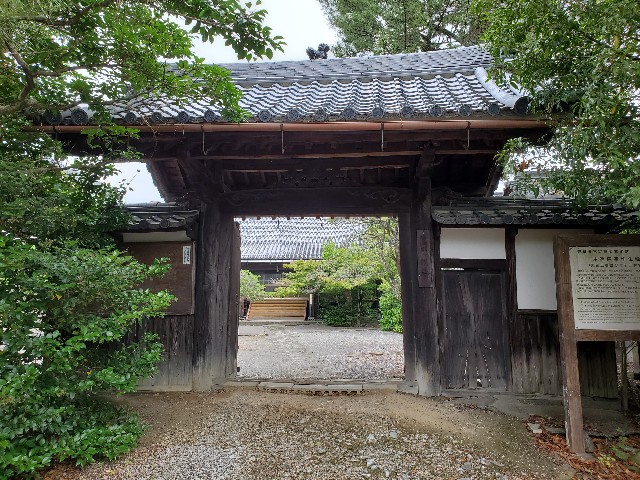 f:id:cogioya:20230703123451j:image