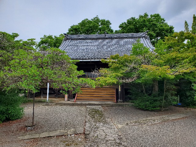 f:id:cogioya:20230703123547j:image