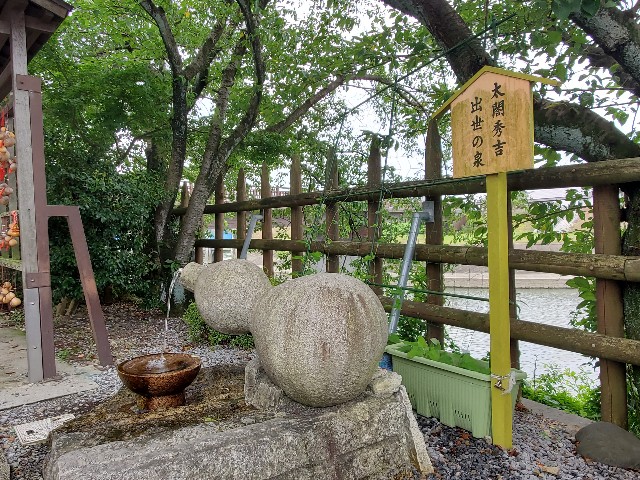 f:id:cogioya:20230708105325j:image