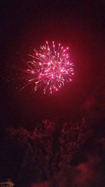 f:id:cogioya:20230824083220j:image