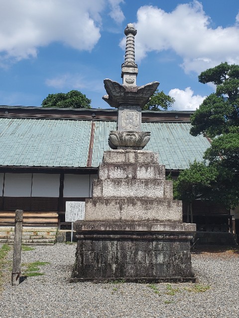 f:id:cogioya:20230912062536j:image