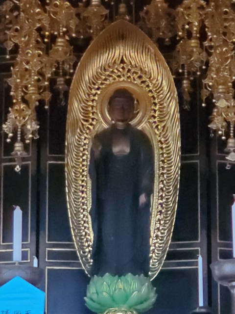 f:id:cogioya:20230915212359j:image