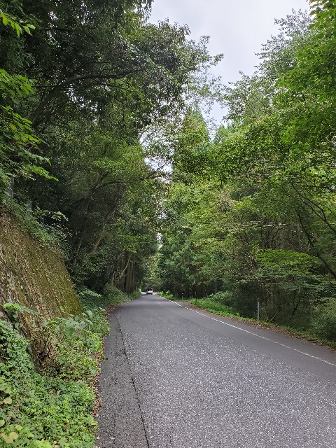 f:id:cogioya:20230916112120j:image