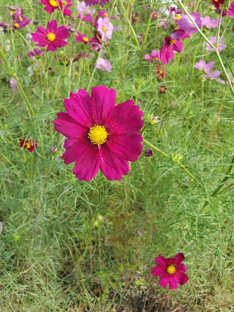 f:id:cogioya:20231104094407j:image