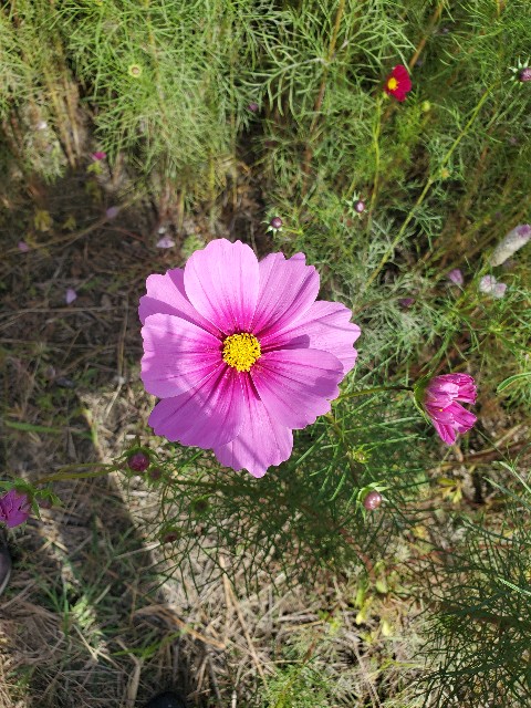 f:id:cogioya:20231104094422j:image