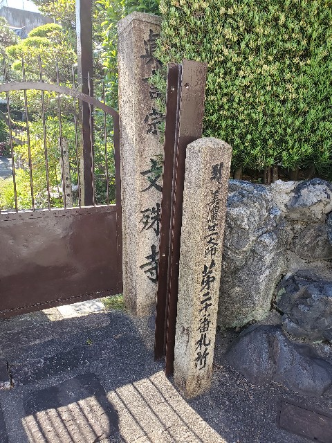 f:id:cogioya:20240526145909j:image f:id:cogioya:20240526145909j:image