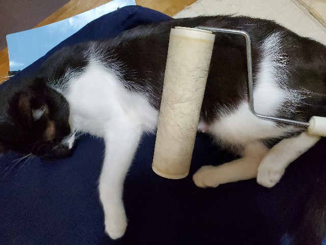 f:id:cogioya:20240820073709j:image