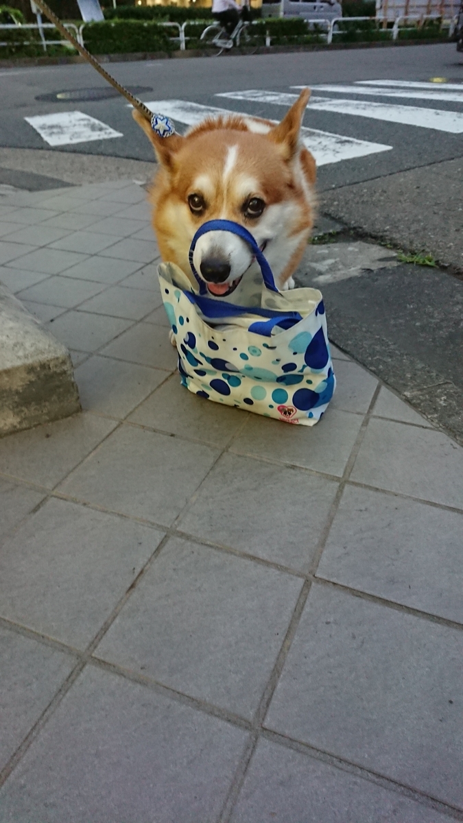 f:id:cogytan0216:20190723203323j:plain f:id:cogytan0216:20190723203323j:plain