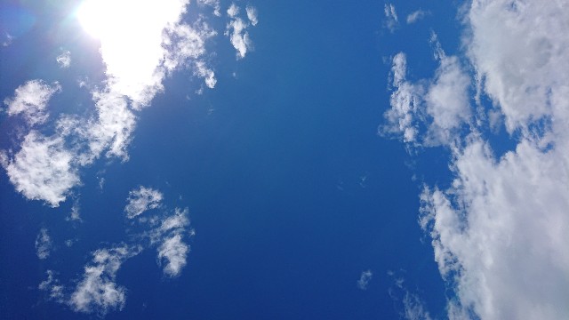 f:id:cogytan0216:20190727133502j:image f:id:cogytan0216:20190727133502j:image