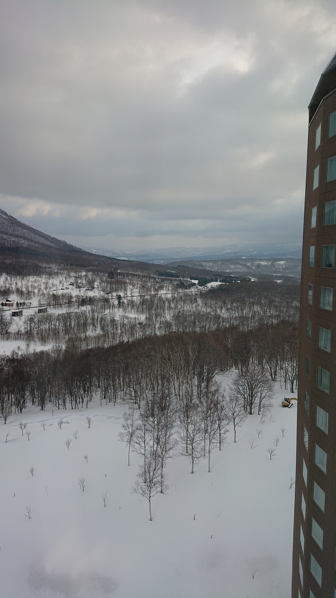 f:id:cohibayarou:20190328183429j:plain