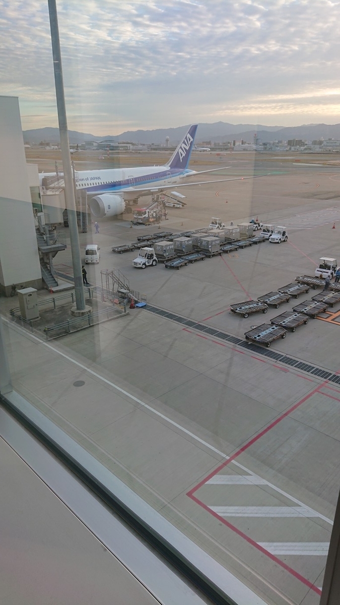 f:id:cohibayarou:20211210194533j:plain