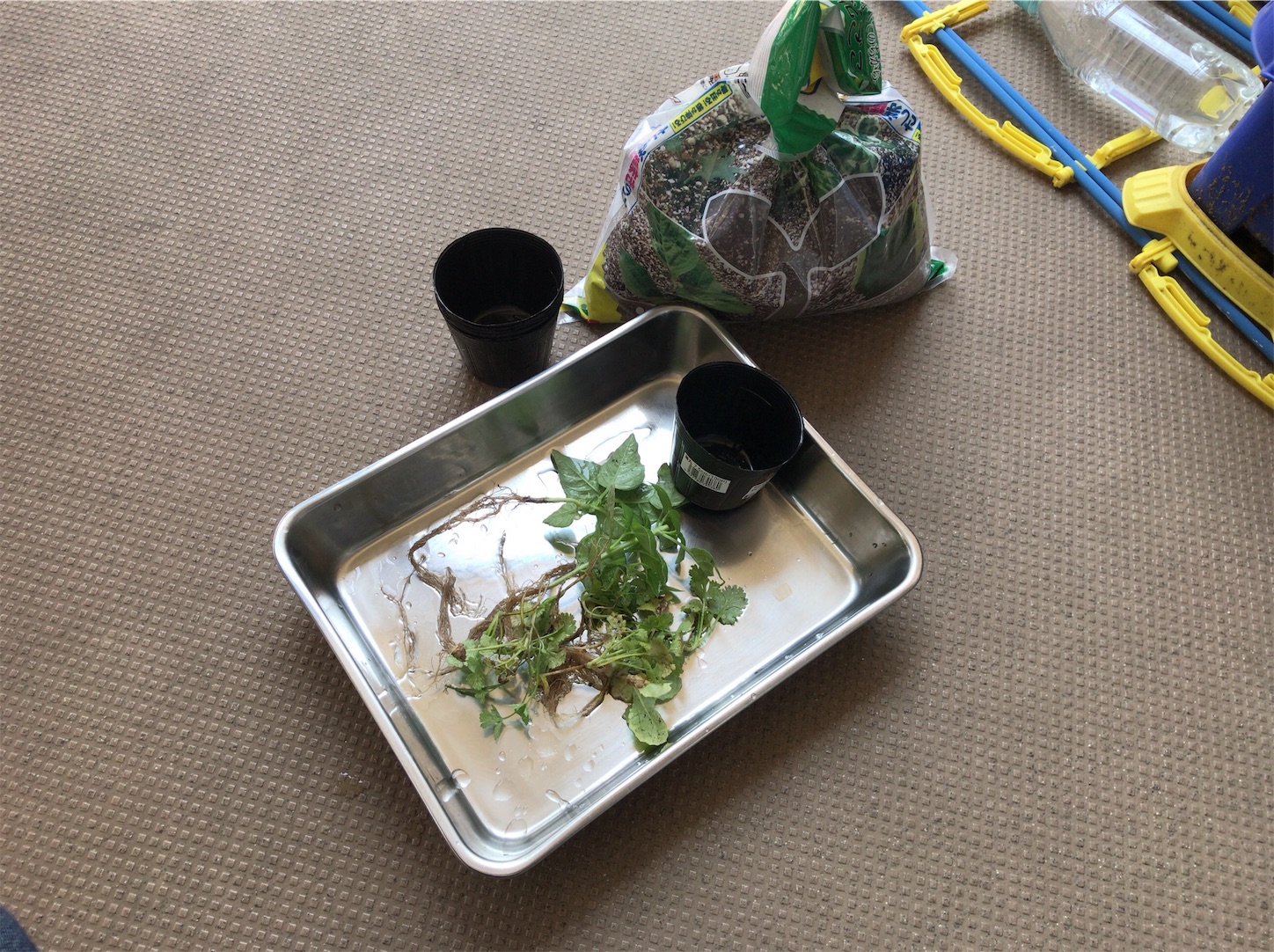 f:id:coizne:20180716203421j:image