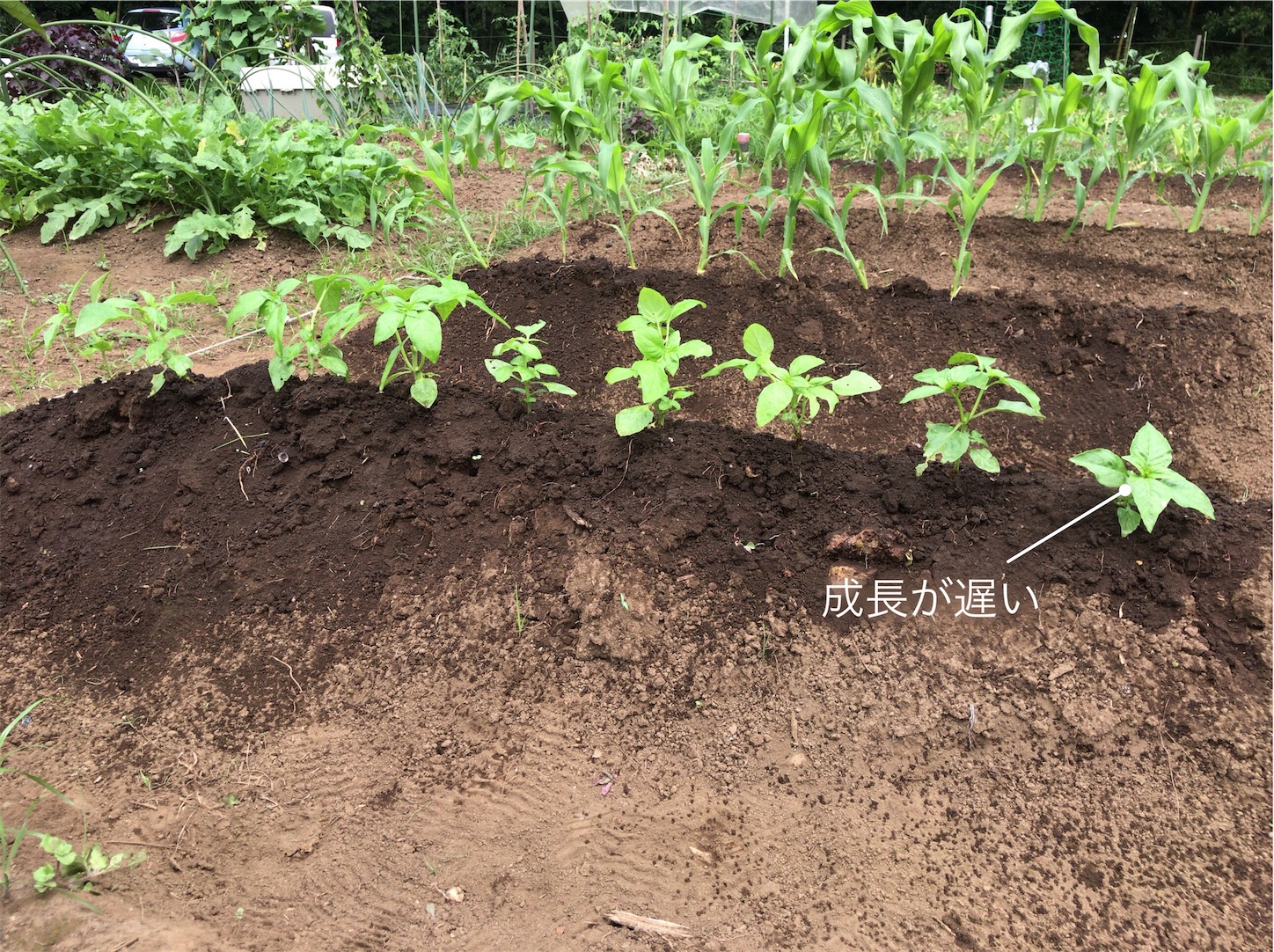 f:id:coizne:20180716205728j:image