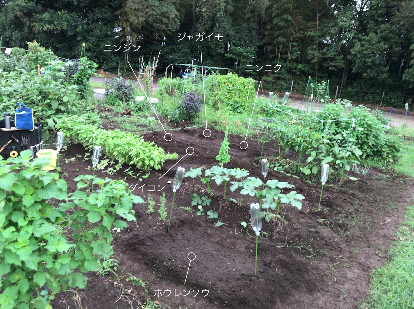 f:id:coizne:20180902210221j:image
