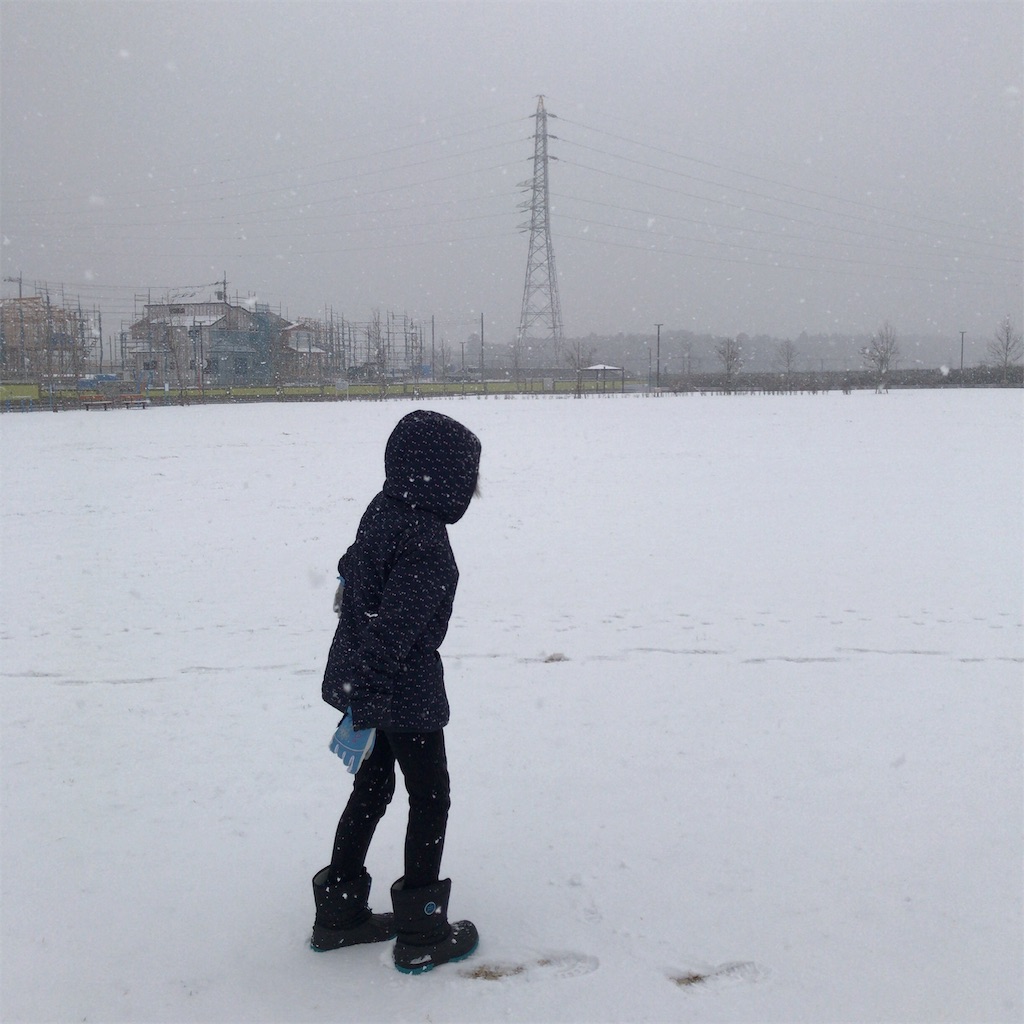 f:id:coizne:20190212073339j:image f:id:coizne:20190212073339j:image