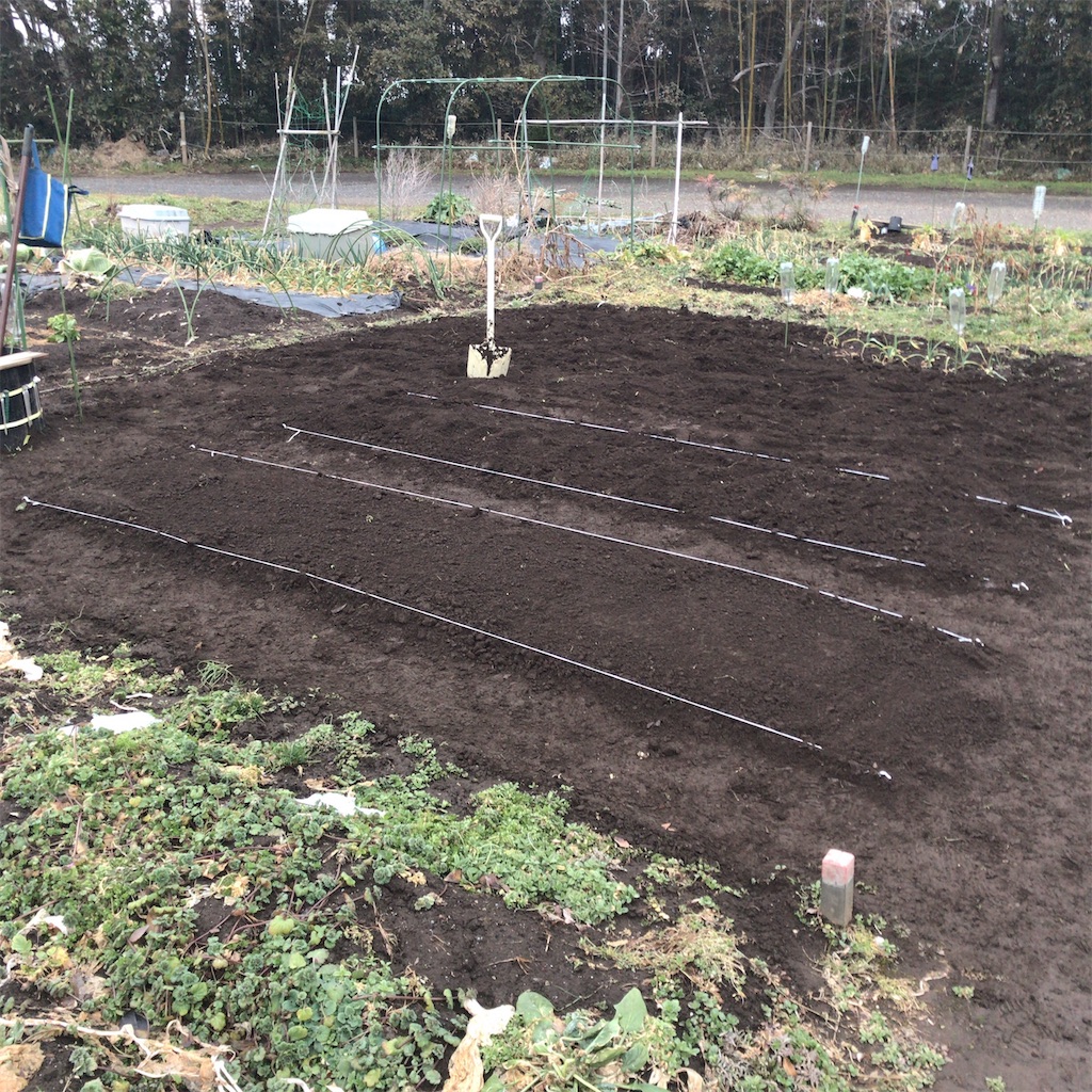 f:id:coizne:20190212073343j:image f:id:coizne:20190212073343j:image