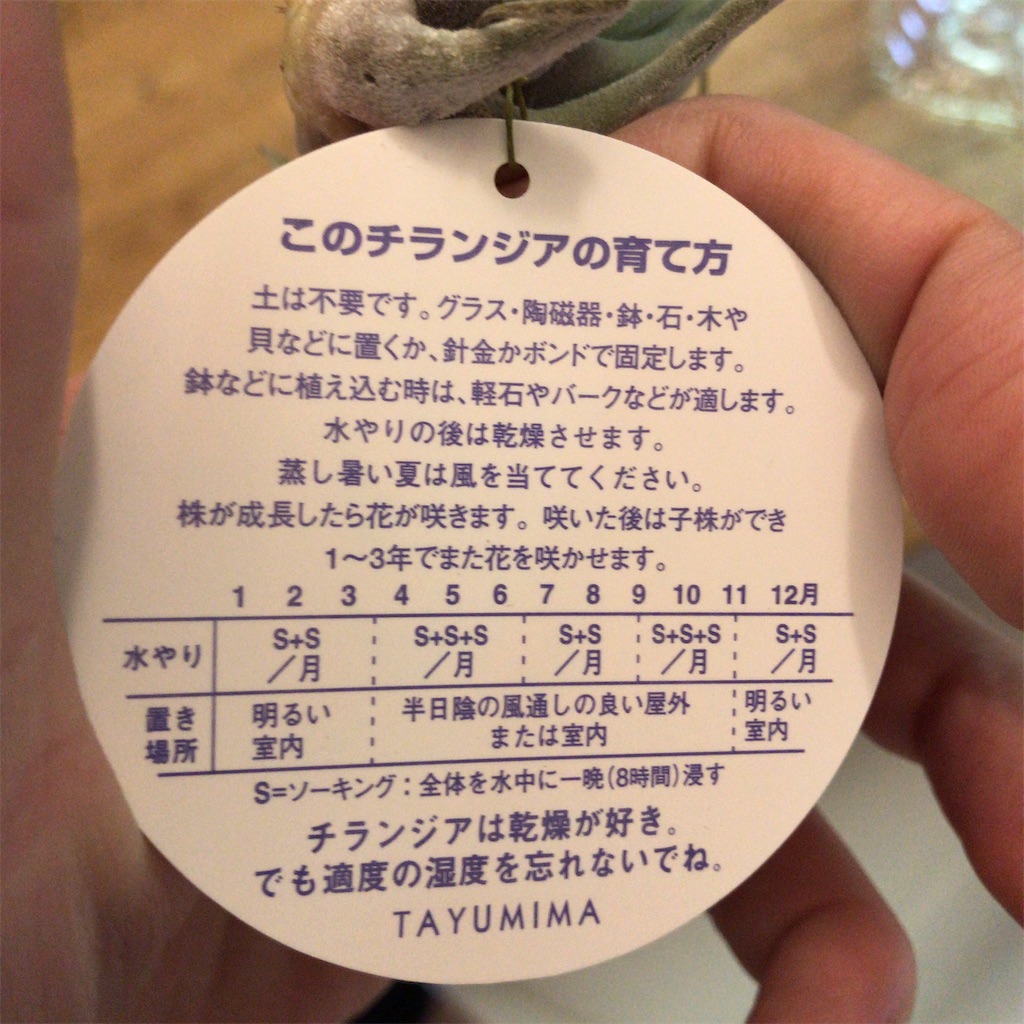f:id:coizne:20190228185529j:image