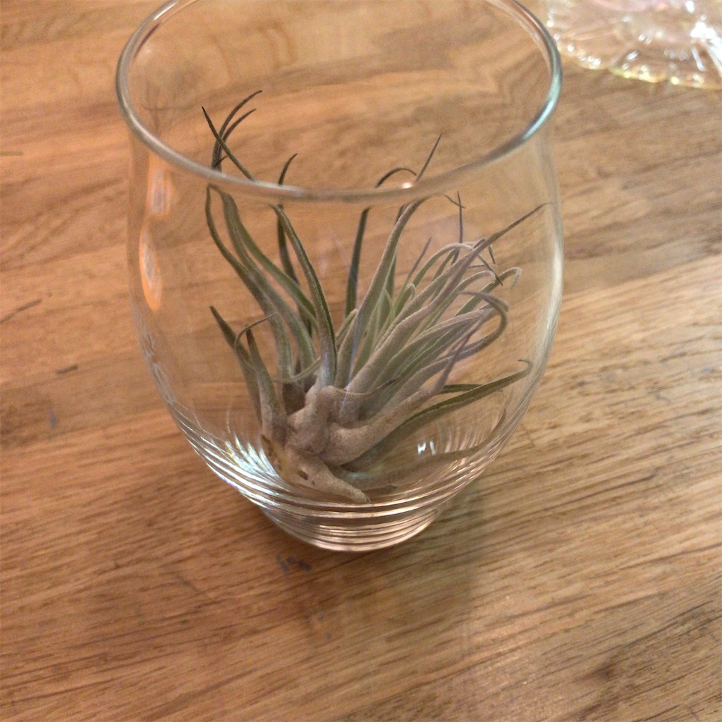 f:id:coizne:20190228185533j:image