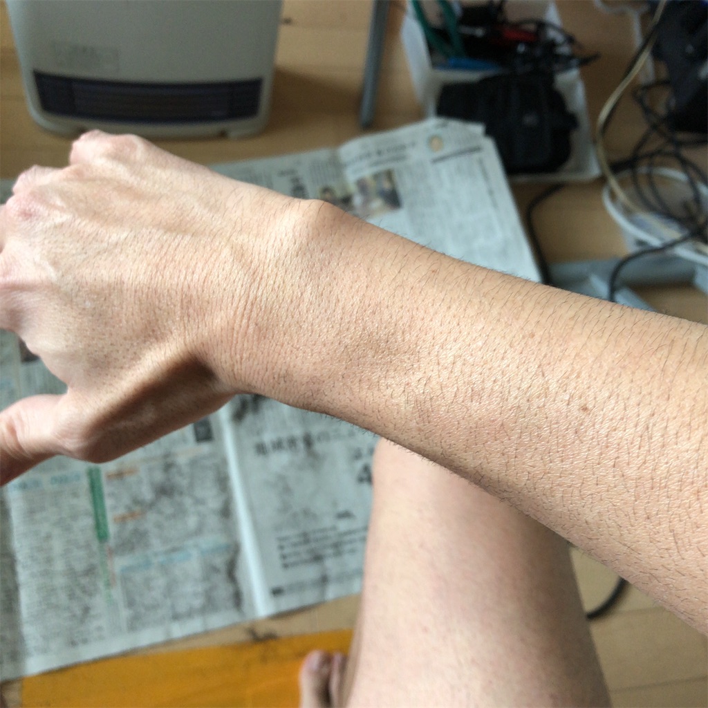 f:id:coizne:20190401131209j:image