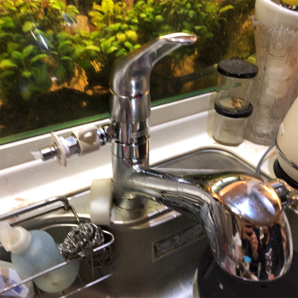 f:id:coizne:20190403220248j:image f:id:coizne:20190403220248j:image