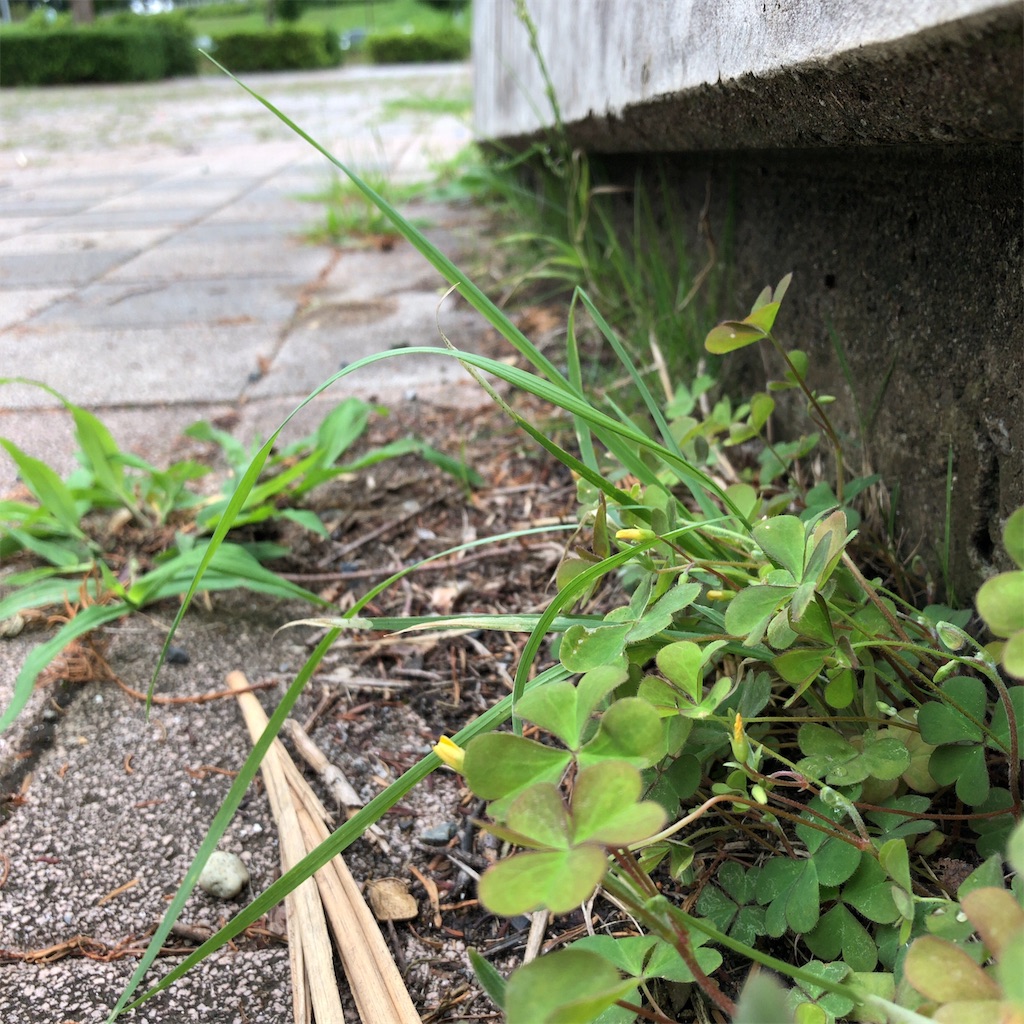 f:id:coizne:20190715221039j:image