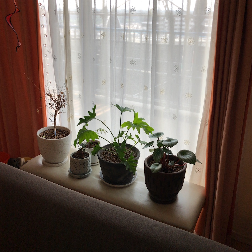 f:id:coizne:20200817082019j:plain