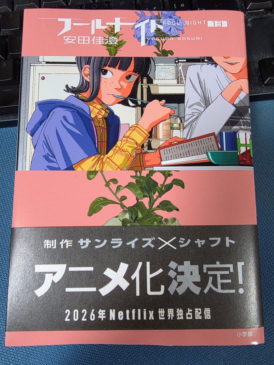 フールナイト 13巻 感想 ※ネタバレあり注意 - 紙の漫画を買って読む