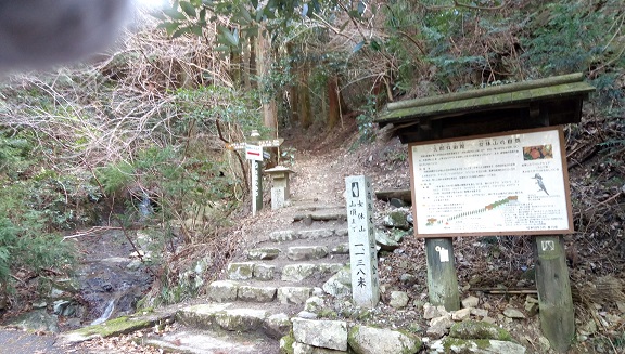 イメージ 19