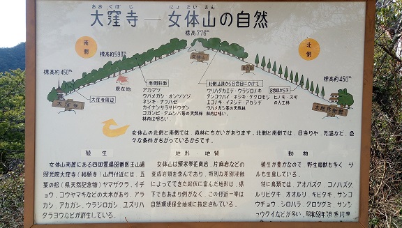 イメージ 34