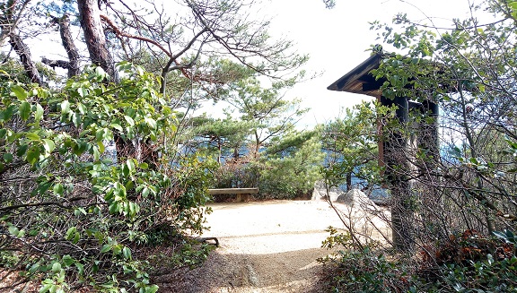 イメージ 36