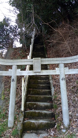 イメージ 27