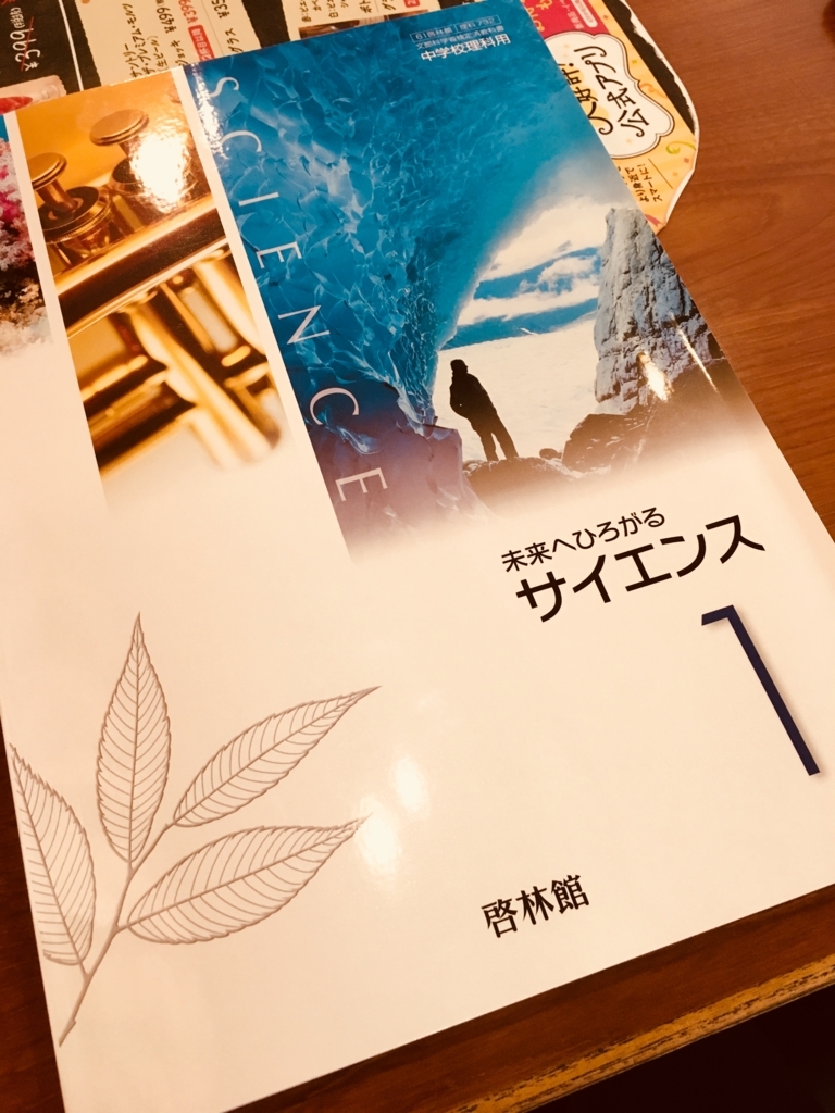 f:id:cokeio:20180524184000j:plain f:id:cokeio:20180524184000j:plain