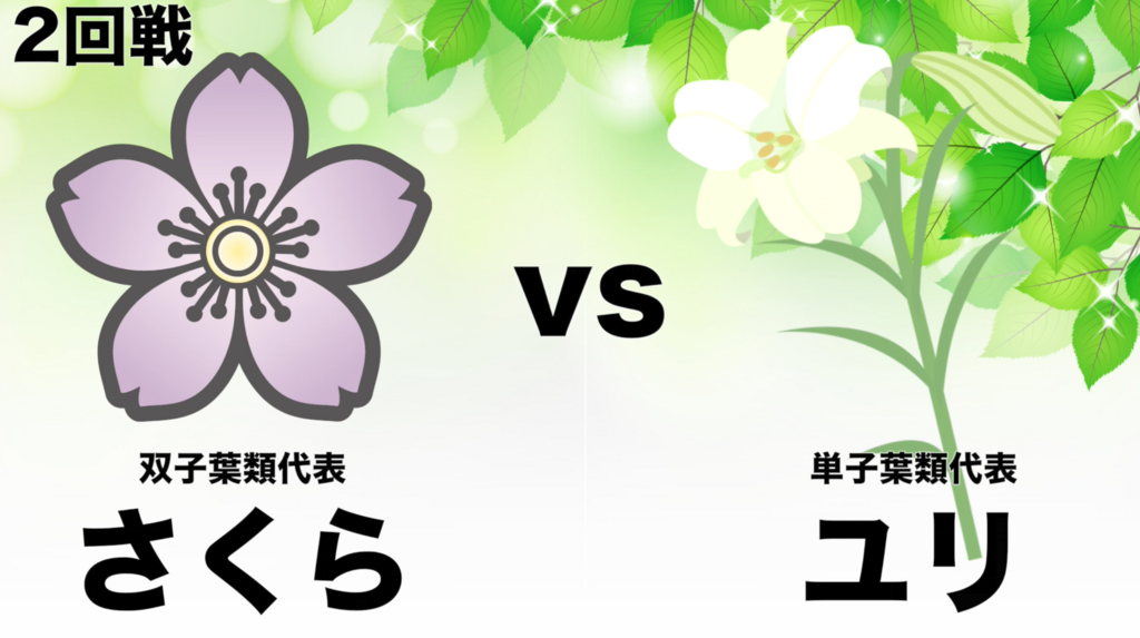 f:id:cokeio:20180608025324p:plain f:id:cokeio:20180608025324p:plain