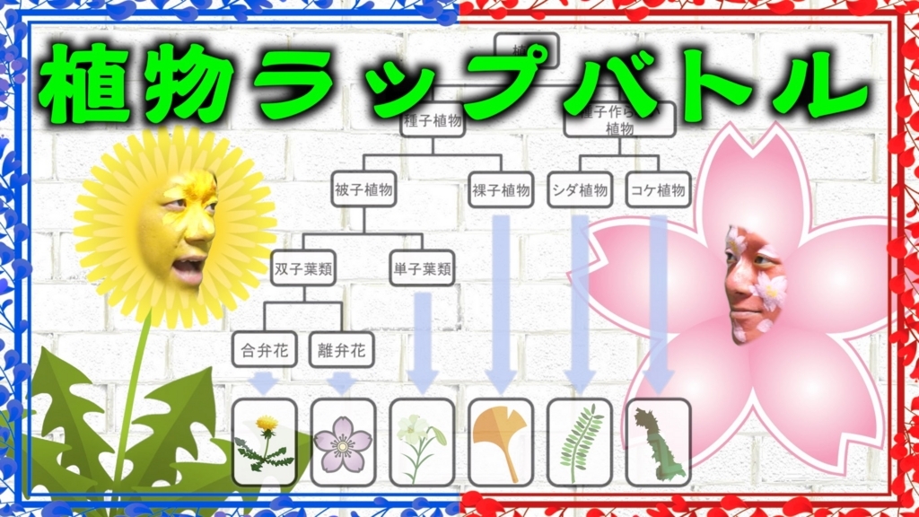 f:id:cokeio:20180706171141j:plain f:id:cokeio:20180706171141j:plain