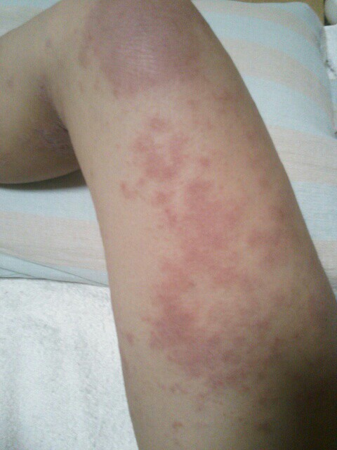 f:id:colibli:20170101213414j:plain