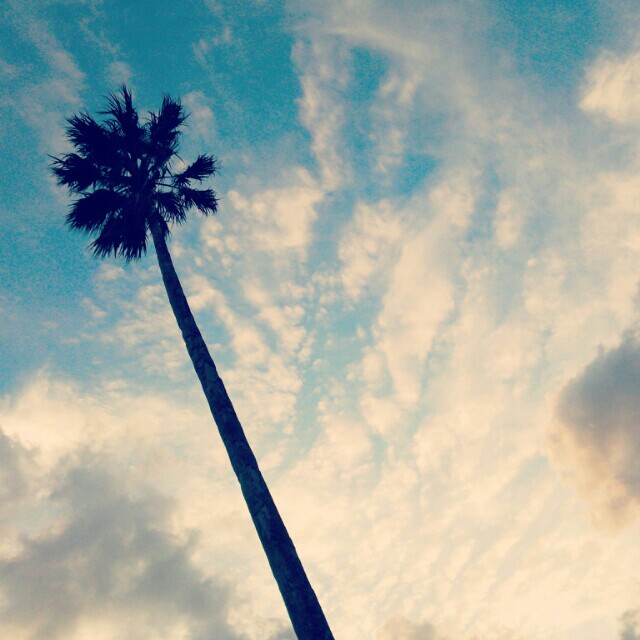 f:id:colibli:20170102202802j:plain