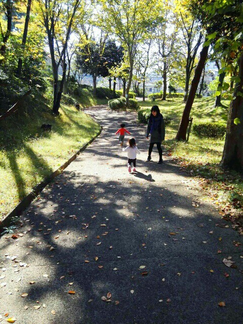 f:id:colibli:20170102203118j:plain