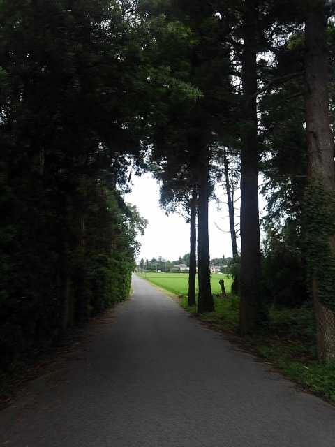 f:id:colin12345:20190816092258j:plain f:id:colin12345:20190816092258j:plain