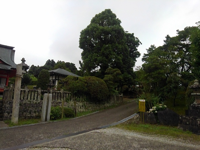f:id:colin12345:20190816094008j:plain f:id:colin12345:20190816094008j:plain