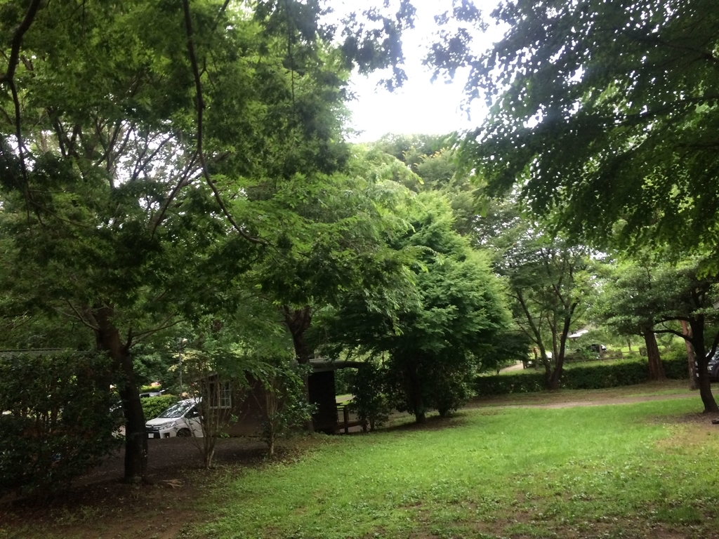 f:id:colofullife:20181230164541j:plain f:id:colofullife:20181230164541j:plain