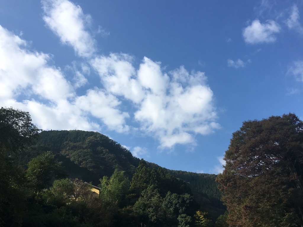 f:id:colofullife:20181230192958j:plain f:id:colofullife:20181230192958j:plain