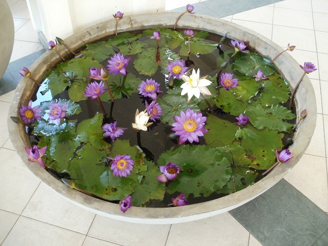 f:id:colombaba:20111211162507j:image:w450