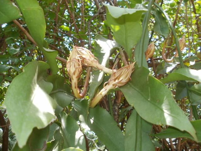 f:id:colombaba:20120616155249j:image:w450