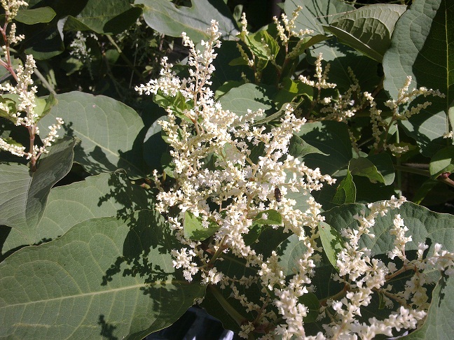f:id:colombaba:20121004052122j:image:w450