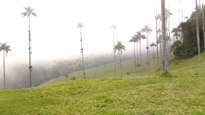 f:id:colombia:20180614101126j:plain