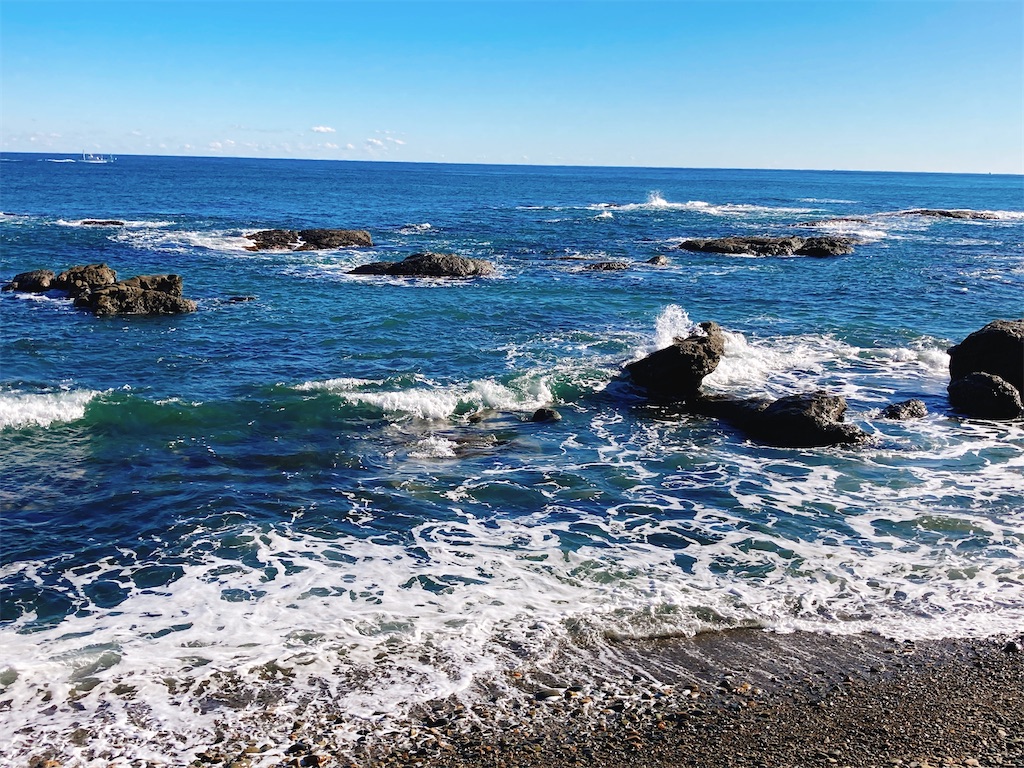 f:id:colonelbingoooo:20210209122031j:image