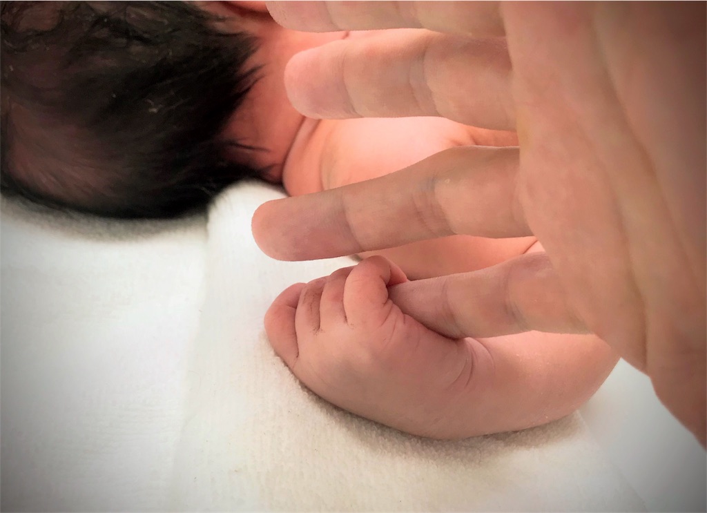 f:id:colopon:20180813171402j:image