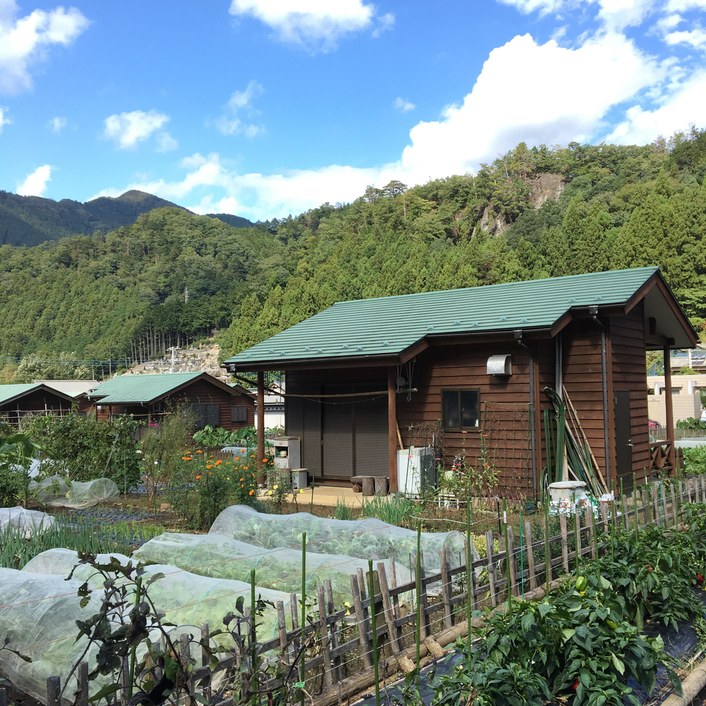 f:id:color-hiyoko:20181204214039j:plain