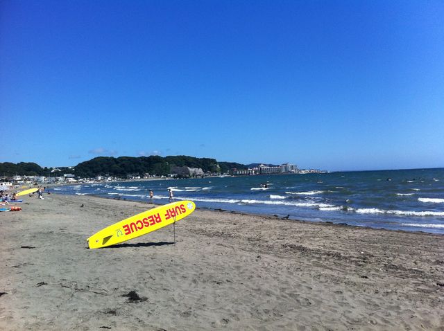 f:id:color-hiyoko:20200310182458j:plain