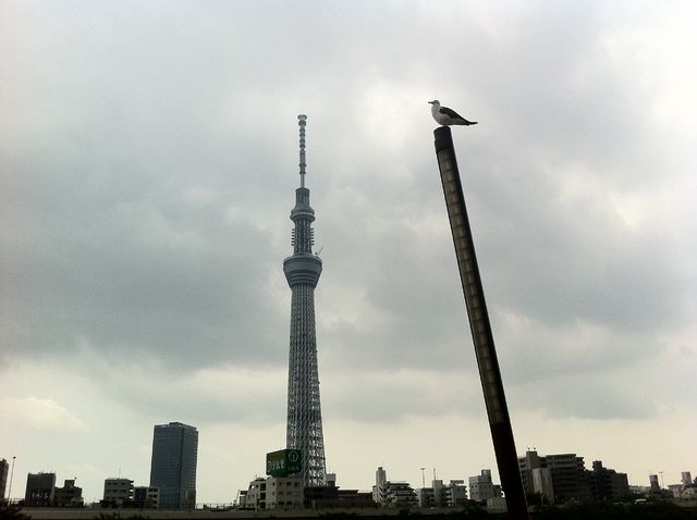 f:id:color-hiyoko:20200310182737j:plain